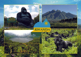 1 AK Ruanda * Landschaften Und Berggorillas In Rwanda * - Rwanda