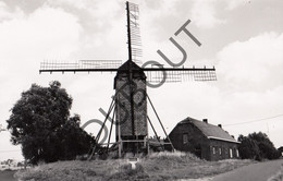 LANGEMARK Molen / Moulin - Originele Foto Jaren '70 A.Carre - Molen G. Van Damme ±1973 (Q23) - Langemark-Poelkapelle