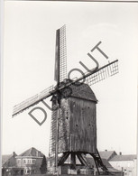 LEISELE/Alveringem Molen / Moulin - Postkaart - Staakmolen 1804 (Q5) - Langemark-Poelkapelle