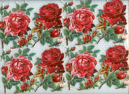 Feuille De 8 Découpis Belle époque Circa 1900.fleurs.( 2 Variétés De Roses ) à Découper à L'unité Dans Un But Décoratif - Fleurs