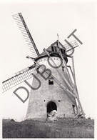 ROKSEM  Molen / Moulin - Originele Foto Jaren '70 (Q106) - Oudenburg