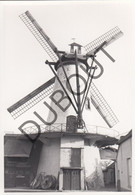 RUISELEDE Molen / Moulin - Originele Foto Jaren '70 (Q87) - Ruiselede