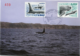 SAINT PIERRE ET MIQUELON CARTE MAXIMUM DES N°738 / 739 CETACES AVEC OBL. ILLUSTREE SAINT PIERRE 24 JANV 2001 - Cartoline Maximum