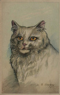 M.B. Cooper - Portrait De Chat - Katten