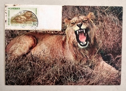 CAMEROUN Lion, Lions, Felin , Félins,  Lowe, Yvert N°351A Carte Maximum FDC 1er Jour - Félins