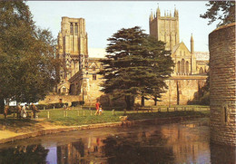 BISHOP'S PALACE MOAT, WELLS, SOMERSET. UNUSED POSTCARD Nk1 - Wells