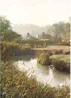 THE WILDLIFE TRUST, ARUNDEL, SUSSEX, ENGLAND. UNUSED POSTCARD. Nk5 - Arundel