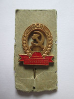 Rare! Badge Delegated To The XII Congress Of The Romanian Communist Party In November 1979 - Altri & Non Classificati