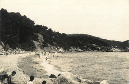 CPSM FRANCE 83 "Le Pradet, Plage De Monaco" - Le Pradet