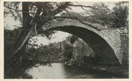 CPSM FRANCE 83 "Besse Sur Issole, Le Vieux Pont De Sainte Agathe" - Besse-sur-Issole