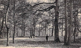 [78] Yvelines > Beynes La Grande Table De Pierre Dans Le Bois - Beynes