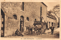 ¤¤  -  LES CHATELETS   -  La Ferme  -   Attelage De Boeufs        -  ¤¤ - Sonstige & Ohne Zuordnung