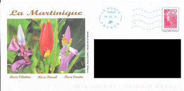 Flore De La Martinique. - Prêts-à-poster:  Autres (1995-...)