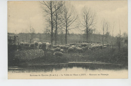 CHARTRES (environs) - La Vallée De L'Eure à JOUY - Moutons Au Pâturage - Jouy