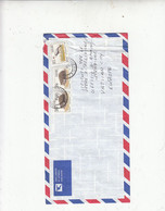 SUD AFRICA  1993- Lettera Per Città Vaticano - Yvert 811-821 - Fauna  Uccelli - Mammiferi - Covers & Documents