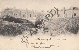 Carte Postale/Postkaart - DIEST - Fort Léopold  (A269) - Diest