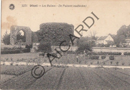 Carte Postale/Postkaart - DIEST - Les Ruines - De Puinen ( Serneels- Antwerpen) (A281) - Diest