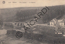 Carte Postale/Postkaart - DIEST - Den Hamel   (A286) - Diest