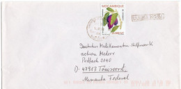 L28261 - Mozambik - 2000 - 25.000 MT Wasserbirne '98 EF A. Brief Von MAPUTO -> Deutschland - Fruits