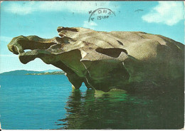 Porto Rafael, Palau (Olbia) Il Dinosauro, Le Dinosaurien - Olbia
