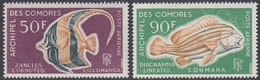Comoro Islands 1968 - Airmail: Fish - Mi 90-91 ** MNH - Comores (1975-...)