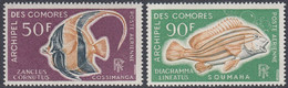 Comoro Islands 1968 - Airmail: Fish - Mi 90-91 ** MNH - Komoren (1975-...)