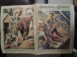# DOMENICA DEL CORRIERE N 42 - 1956 TRAGEDIA AD ANVERSA AL CAMPIONE CICLISTICO OCKERS - First Editions