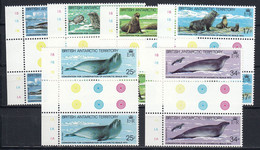 British Antarctic Territory (BAT) 1983 Seals 6v Gutter ** Mnh (52155) - Unused Stamps