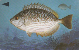 Bahrain, 39BAHQ, Streaked Rabbitfish, Fish, 2 Scans - Bahreïn