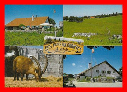 CPSM/gf  PROVENCE (Suisse)  Les Petites Fauconnières, Restaurant D'alpage, Dortoirs.  Multivues..*14315 - Provence