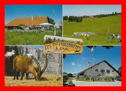 CPSM/gf  PROVENCE (Suisse)  Les Petites Fauconnières, Restaurant D'alpage, Dortoirs.  Multivues...M894 - Provence
