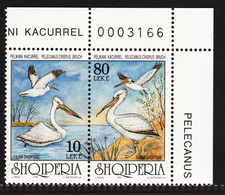 Albania 1997, Bird, Birds, Pelican, Set Of 2v, MNH** - Pélicans