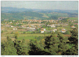 Carte Postale  43. Solignac-sur-Loire Trés Beau Plan - Solignac Sur Loire