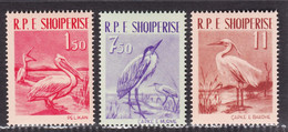 Albania 1961, Bird, Birds, Pelican, 3v, MNH**, Excellent Condition. - Pélicans