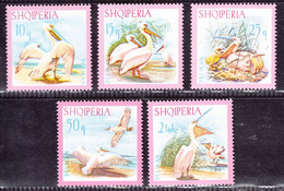 Albania 1967, Bird, Birds, Pelican, Set Of 5v, MNH**, Excellent Condition. - Pélicans