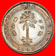 • PALM TREE (1942-1945): CEYLON ★ 1 CENT 1942 UNC MINT LUSTER! GEORGE VI (1937-1952)! LOW START ★ NO RESERVE! - Sri Lanka