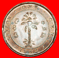 • PALM TREE (1942-1945): CEYLON ★ 1 CENT 1943 UNC MINT LUSTER! GEORGE VI (1937-1952)! LOW START ★ NO RESERVE! - Sri Lanka