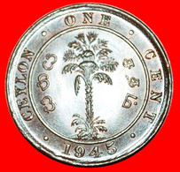 • PALM TREE (1942-1945): CEYLON ★ 1 CENT 1945 UNC MINT LUSTER! GEORGE VI (1937-1952)! LOW START ★ NO RESERVE! - Sri Lanka
