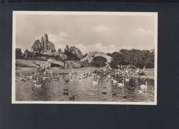 Dt. Reich AK Hamburg Carl Hagenbeck's Tierpark Zoo Grosser Vogelteich - Bergedorf