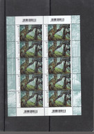 Deutschland BRD  **  3410 Harz-Berg Fichtenurwald    Neuausgabe 9.8.2018 - Unused Stamps