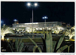 Carte Postale  06.  Nice  Aéroport De Nice-Cote-D'Azur  Aérogare Vue De Nuit  Très Beau Plan - Transport Aérien - Aéroport