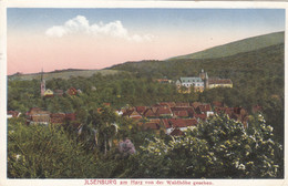 5397) ILSENBURG Am HARZ - Von Der WALDHÖHE Gesehen - Kirche Häuser ALT !! 17.06.1935 !!! - Ilsenburg