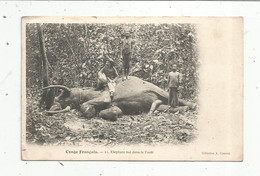 Cp , CONGO FRANCAIS , éléphant Tué Dans La Forêt ,  Chasse , Chasseurs , Voyagée 1908 - Autres & Non Classés