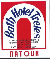 Etiquette Valise Et Malle/ Hotel/ ASIE/ Bath Hotel Tretes/ East JAVA/ Indonesia//Années 1980 EVM67ter - Hotel Labels