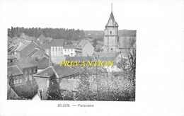 BILSEN - Panorama - Bilzen