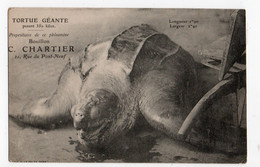 TORTUE GEANTE * C. CHARTIER Rue Du Pont-Neuf * Le Deley - Schildkröten