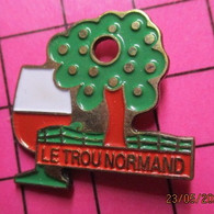 SP02 Pin's Pins : BEAU ET RARE / THEME : BOISSONS / LE TROU NORMAND CALVADOS ARBRE POMME POMMIER - Boissons