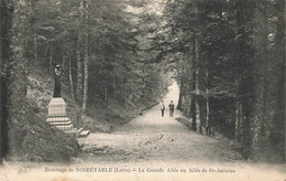 NOIRETABLE : LA GRANDE ALLEE OU ALLEE DE SAINT ANTOINE - Noiretable