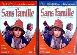 "Les Trésors De La Télévision " - Sans Famille - Feuilleton TV De 1981 - ( Deux DVD ) - - TV Shows & Series