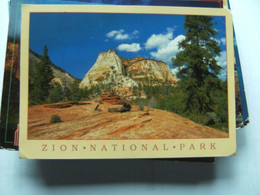 America USA UT Zion National Park Stately Ponderosa Pines - Zion